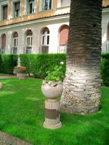 Diese Palme im Garten der Villa Malta (Rom) wurde von Ludwig I von Bayern gepflanzt.